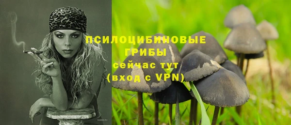 соль курить ск Липки