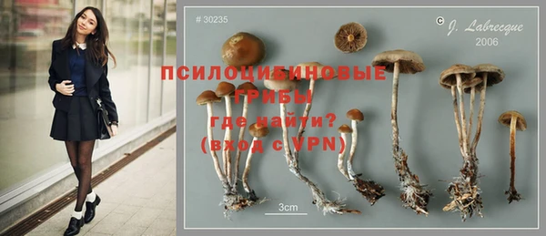 метамфетамин Лагань